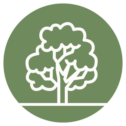 certified arborist springfield illinois