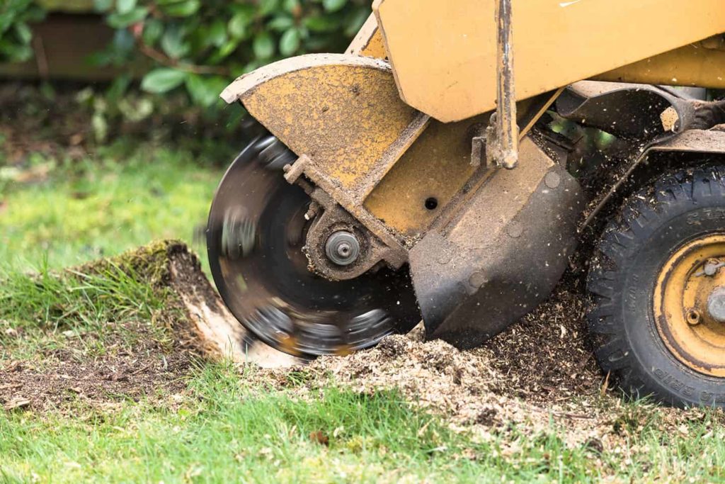 stump grinding and removal services near springfield illinois