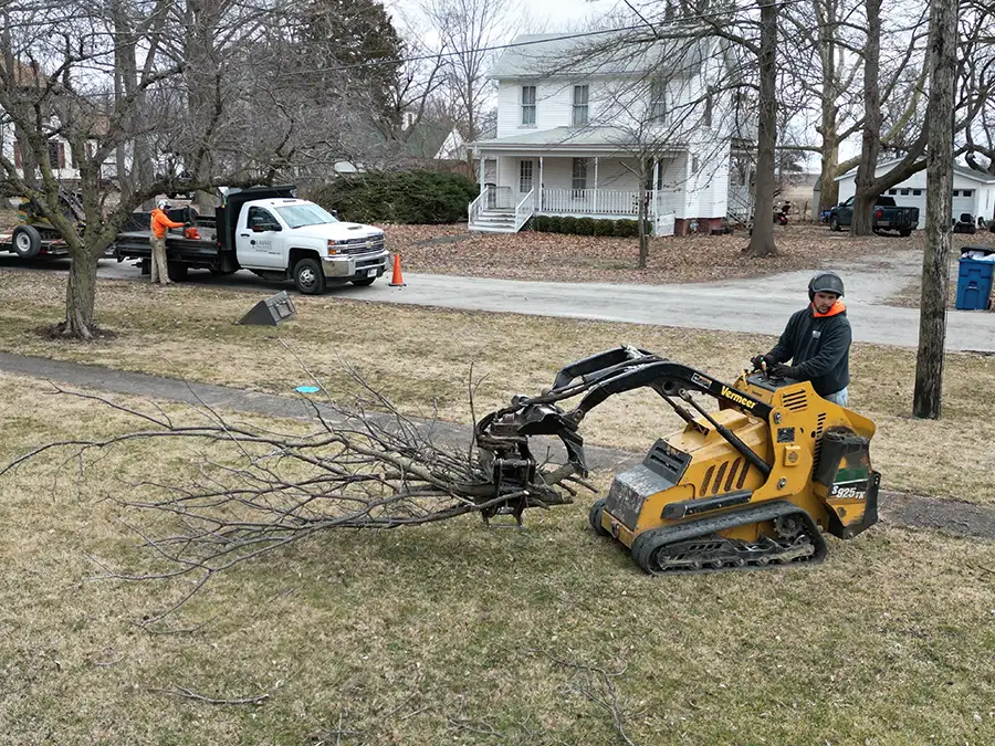 kresse-tree-wurxx-gallery-2026-02