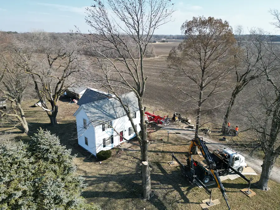 kresse-tree-wurxx-gallery-2026-03