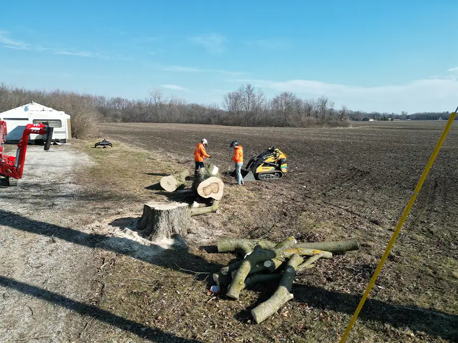 kresse-tree-wurxx-gallery-2026-04