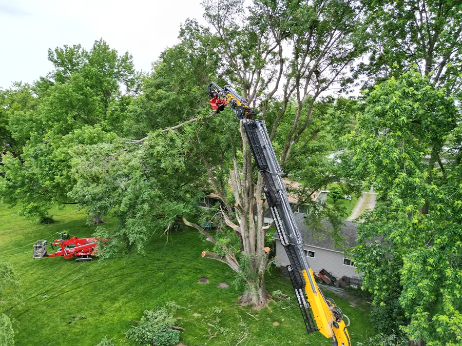 kresse-tree-wurxx-gallery-2026-05