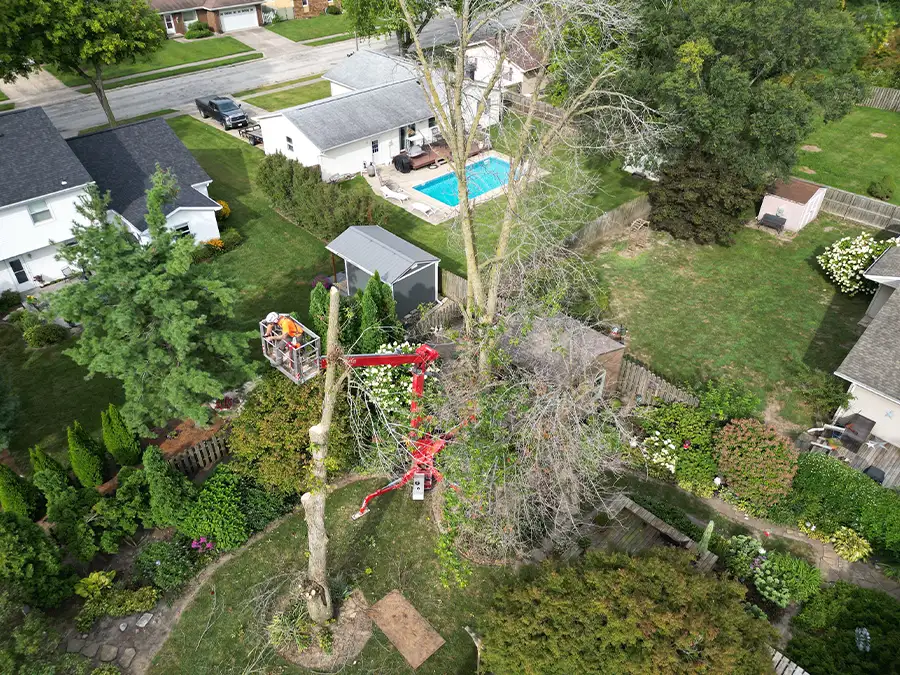 kresse-tree-wurxx-gallery-2026-06