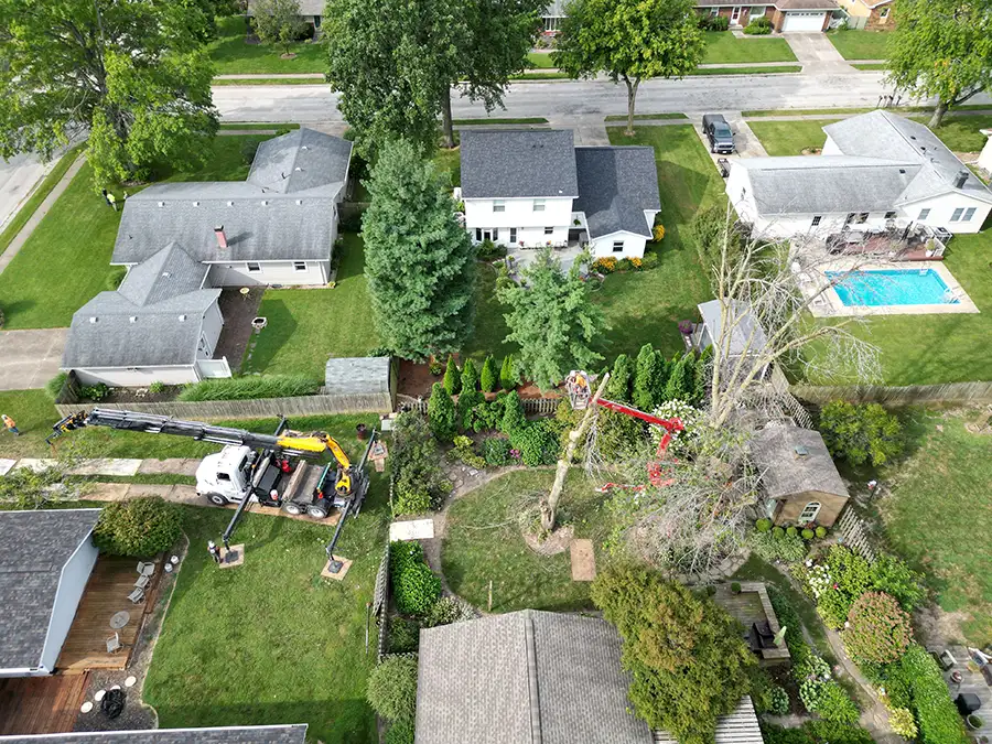 kresse-tree-wurxx-gallery-2026-07