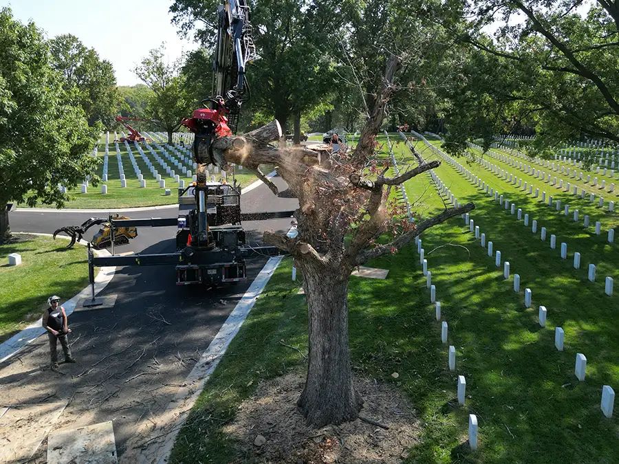 kresse-tree-wurxx-gallery-2026-14