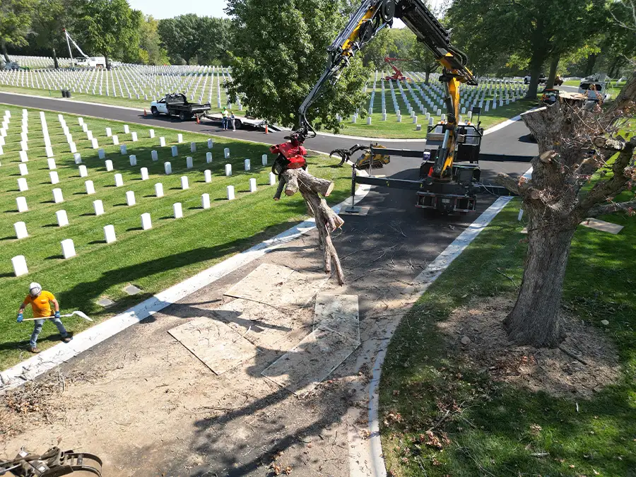 kresse-tree-wurxx-gallery-2026-15