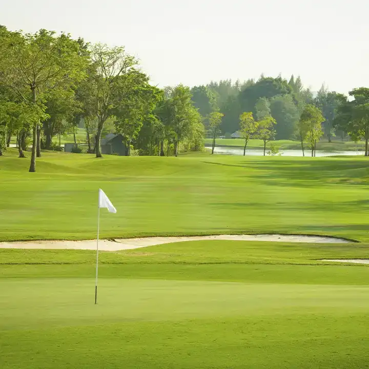 Kresse Tree Wurxx - Golf Course Tree Service in Rochester, IL