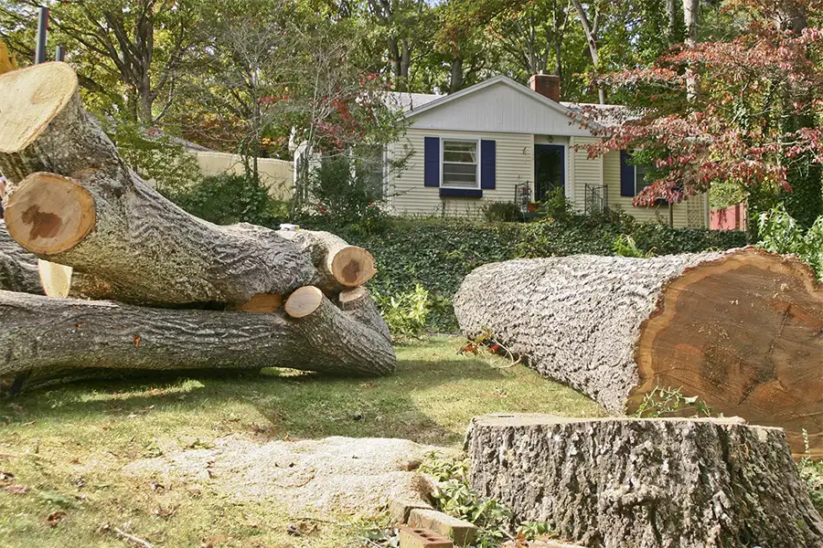 Kresse Tree Wurxx - tree removal services - Springfield, IL