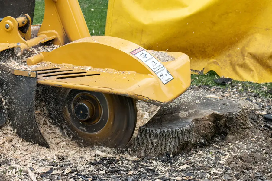 Kresse Tree Wurxx - stump grinding services - Springfield, IL