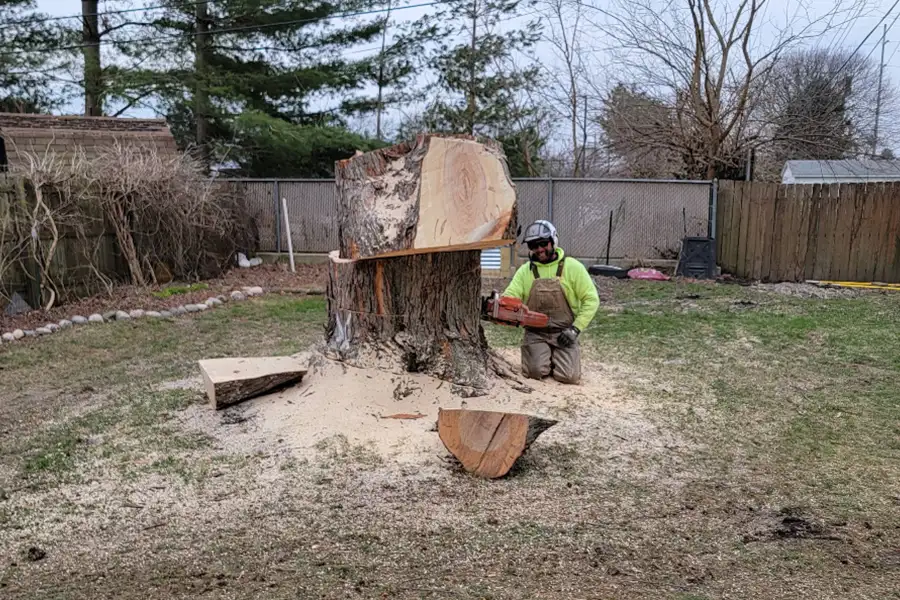 Kresse Tree Wurxx - certified arborists - Springfield, IL