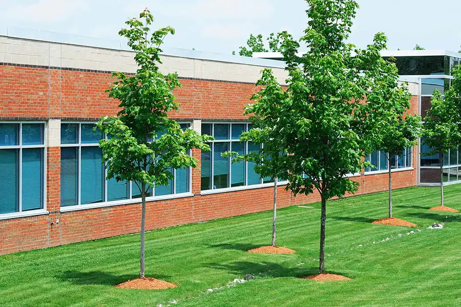 Kresse Tree Wurxx - tree trimming services, trees on commercial property - Springfield, IL