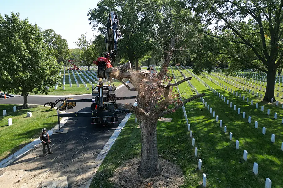 Kresse Tree Wurxx - tree removal services - Springfield, IL