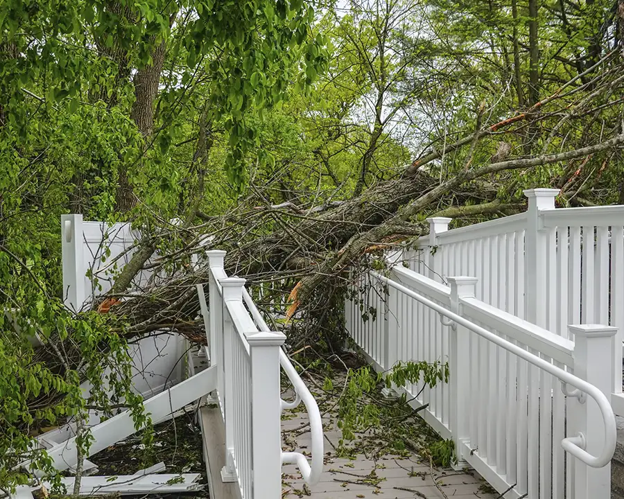 Kresse Tree Wurxx - Emergency Tree Service & Storm Damage Cleanup in Springfield, IL