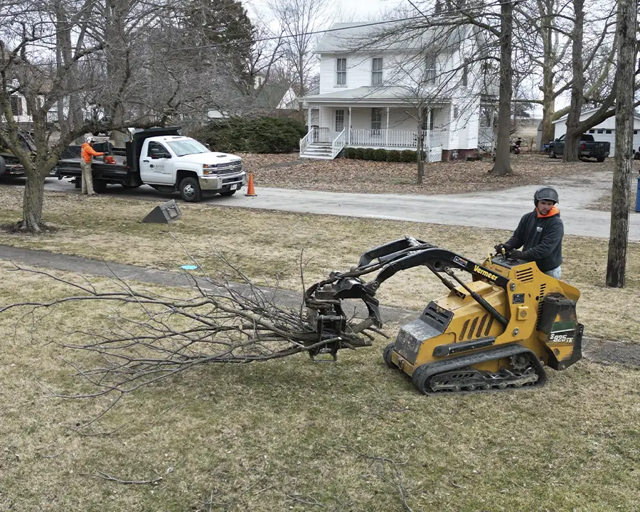 Kresse Tree Wurxx - Emergency Tree Service & Storm Damage Cleanup in Springfield, IL