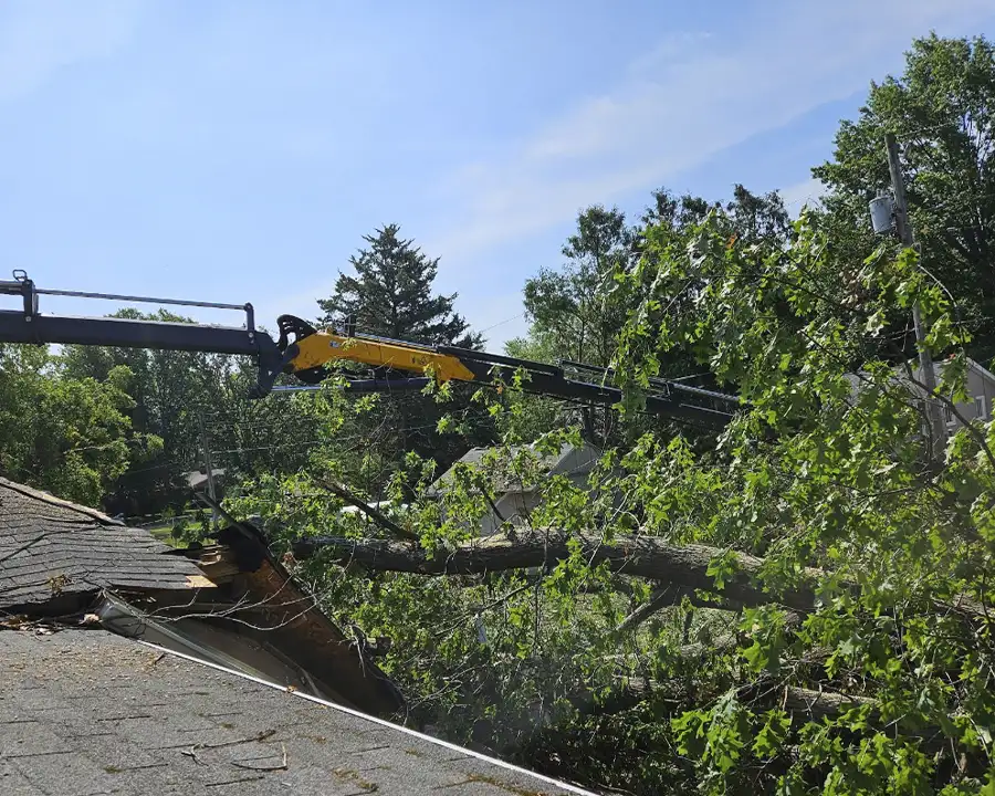 Kresse Tree Wurxx - Emergency Tree Service & Storm Damage Cleanup in Springfield, IL