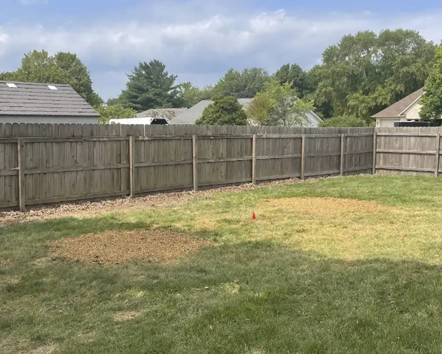 Kresse Tree Wurxx - Professional Stump Grinding in Springfield, IL