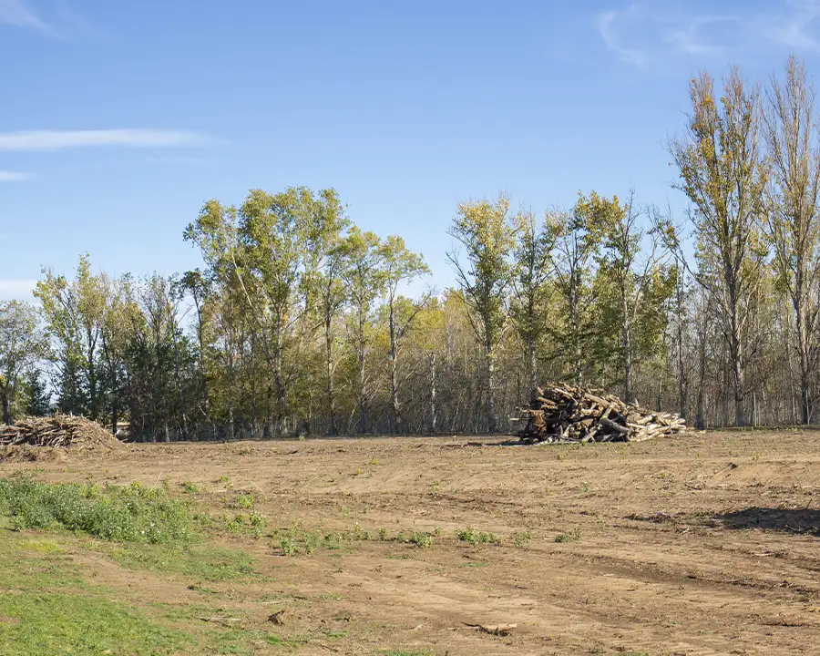 Kresse Tree Wurxx - Lot Clearing in Springfield, IL