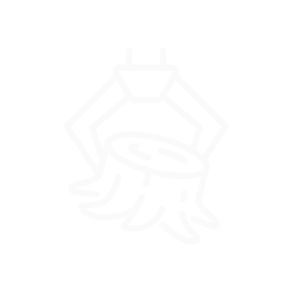 20+ years experience icon