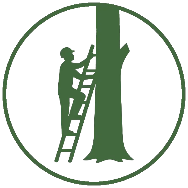 Kresse Tree Wurxx - Our Tree Removal Process, Property & tree assessment - Springfield, IL