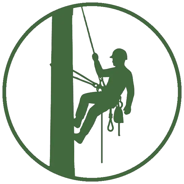 Kresse Tree Wurxx - Our Tree Removal Process, Planning safest removal method - Springfield, IL