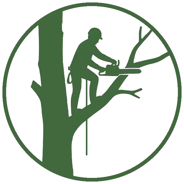 Kresse Tree Wurxx - Our Tree Removal Process, Controlled cutting & removal - Springfield, IL