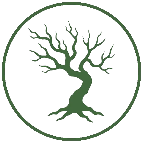 Kresse Tree Wurxx - Six Tips to Prevent a Tree Emergency, Remove dead/diseased trees - Springfield, IL