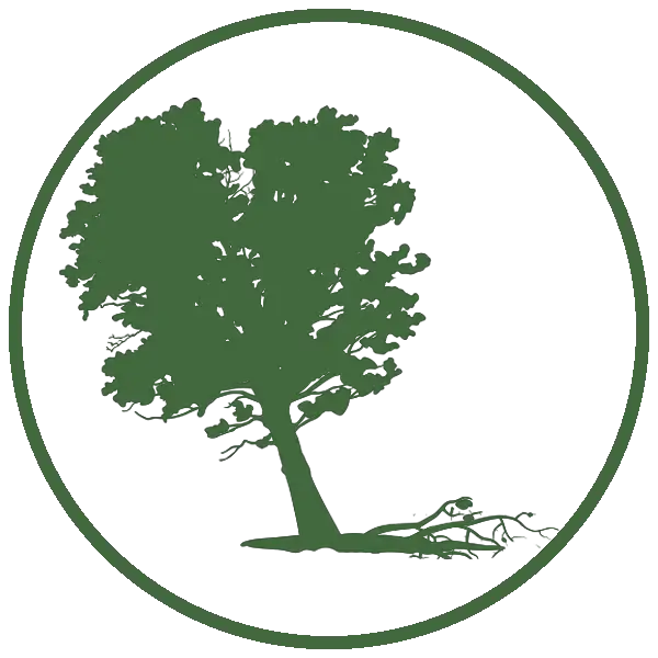 Kresse Tree Wurxx - Six Tips to Prevent a Tree Emergency, Monitor tree leaning or shifting soil - Springfield, IL