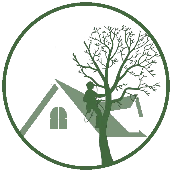 Kresse Tree Wurxx - Six Tips to Prevent a Tree Emergency, Trim Trees Away From Structures - Springfield, IL