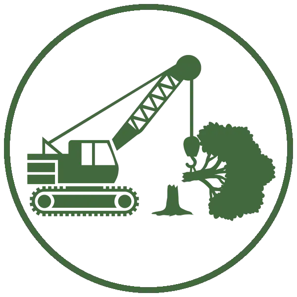 Kresse Tree Wurxx - Six Tips to Prevent a Tree Emergency, Address storm damage immediately - Springfield, IL