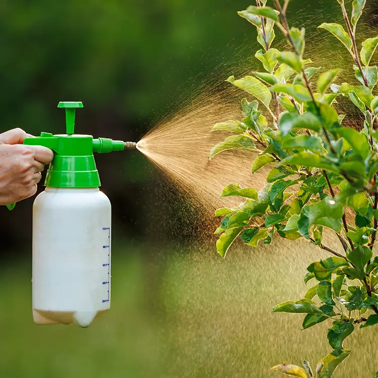 Kresse Tree Wurxx - Plant Healthcare Services, Pest & Disease Management - Springfield, IL