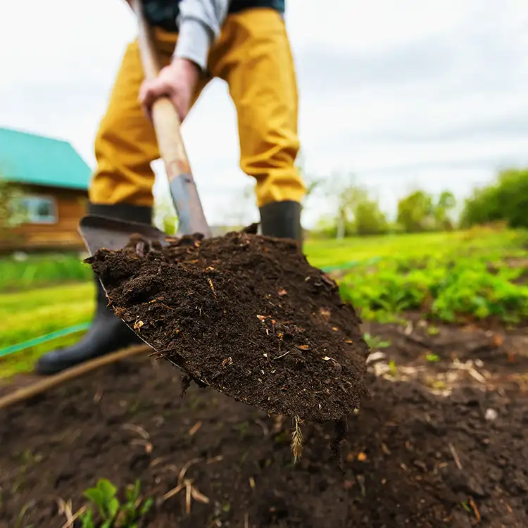 Kresse Tree Wurxx - Plant Healthcare Services, Soil & Nutrient Enhancement - Springfield, IL