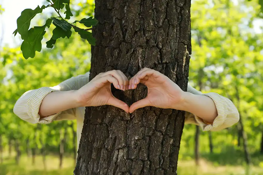 Kresse Tree Wurxx—A woman hugs a tree and forms the shape of a heart with her hands outside her home in Central IL.